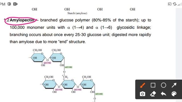 Oligosaccharide and Polysaccharide смотреть онлайн
