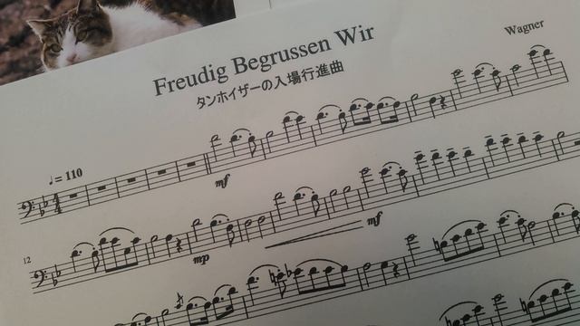 ワグナー「タンホイザーの入場行進曲」チェロ演奏用 / Wagner "Tannhauser (Freudig Begrussen Wir)" for cello players смотреть онлайн
