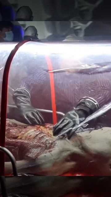 Инопланетянин смотреть онлайн