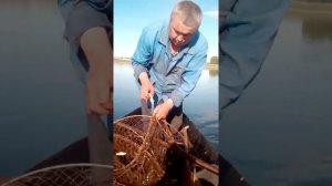 Ст каишкуль