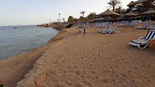 Пляж отеля Queen Sharm Resort 4* 2019. Стрёмный пантон.