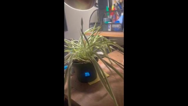 ITP 348 Final Project: Smart Plant Monitoring System смотреть онлайн