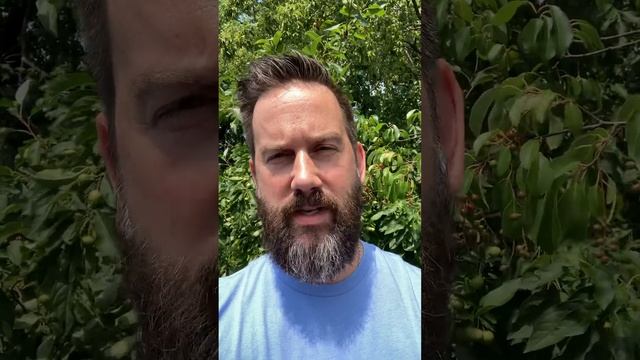 Punch Bareknuckle Cigar Review