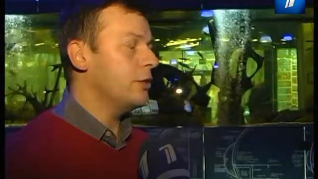 В Летной гавани совсем скоро откроются две уникальные экспозиции смотреть онлайн
