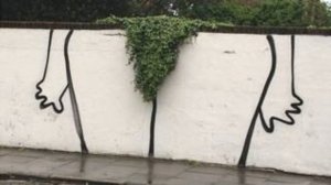 Пять вещей, которые стоит знать о вагину