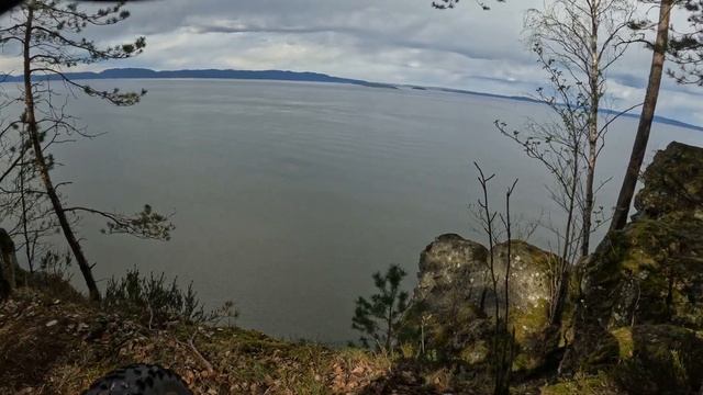 Maxxis Forekaster (29x2.35)#maxxistires #maxxis