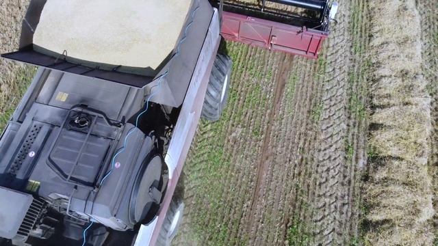 Зерноуборочный комбайн TORUM 785