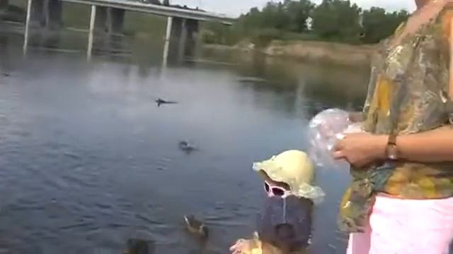 Наш бизнес Без начальников и Без будильников Красноярск 2014 смотреть онлайн