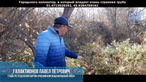 История о том, как канализация в реку Волгу попадает.