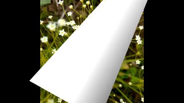 Природа , лето , цветы и прекрасная мелодия.mp4 смотреть онлайн