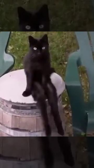 موقف العالم مع كورونا смотреть онлайн