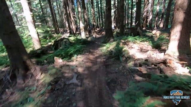 A Dark Blue Trail at Raging River. Canyon Creek смотреть онлайн