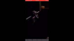 Умер Lil Peep  Причины смерти и странное видео уже мертвого рэпера.