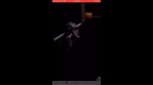 Умер Lil Peep Причины смерти и странное видео уже мертвого рэпера.