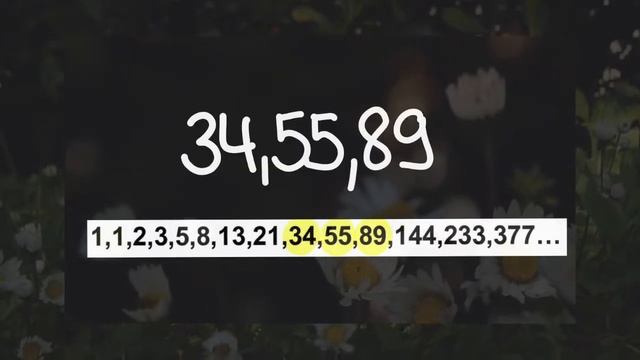 FIBONACCI SEQUENCE in Nature - Fibonacci Numbers, Fibonacci Spiral | Math Digest смотреть онлайн