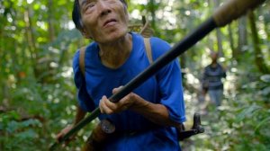 Тропические острова 2 серия «Борнео» (документальный сериал, 2020)