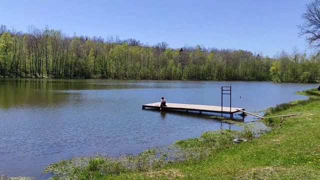 Моршин. Лісове озеро смотреть онлайн