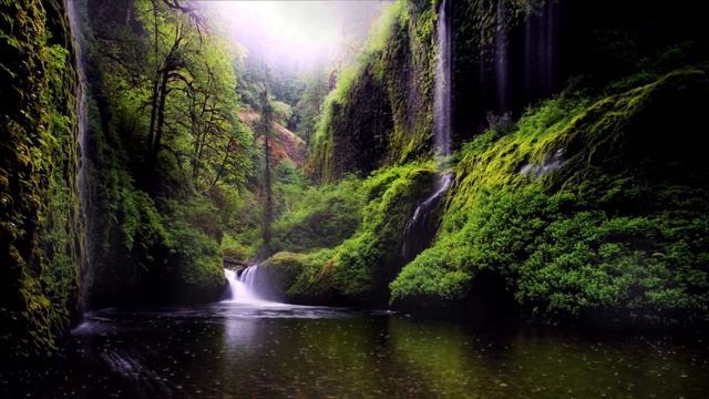 ШУМ ДОЖДЯ. ЗВУКИ ДОЖДЯ ДЛЯ СНА. смотреть онлайн