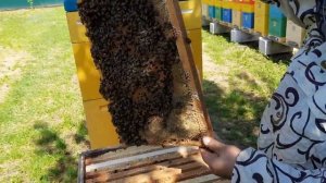 Как делать отводки от А до Я!!!