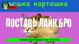 НОВАЯ ПЕСНЯ про МЫШКУ СОСИСКУ // ХАБИБ ЯГОДА МАЛИНКА ПАРОДИЯ // Песня про мышка-сосиска
