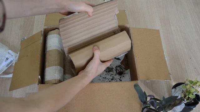 Посылка от Светланы Лодисад.