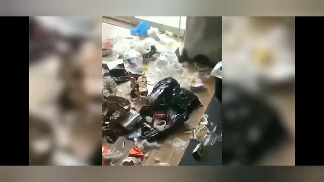 Я ржал пол часа . Смешные животные собаки кошки и др. смотреть онлайн