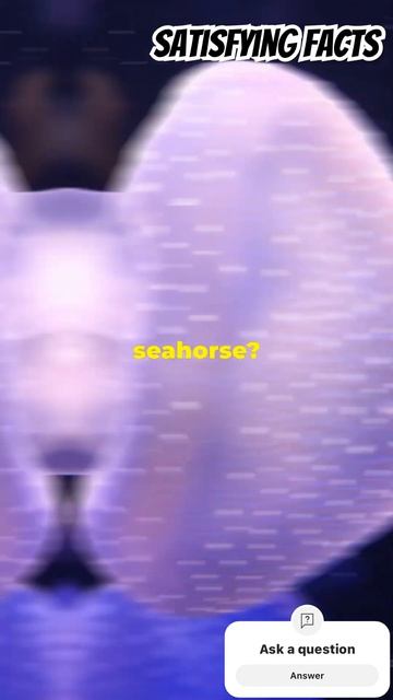 Slowest animals 🤯#animals #nature #dangerous #scary #facts #wildlife #funny #slowmotion смотреть онлайн