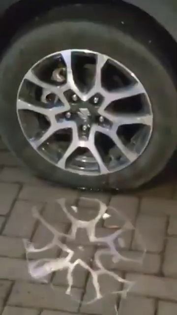 salamandra смотреть онлайн