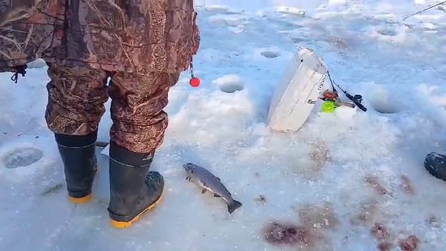 27-02-2025 смотреть онлайн