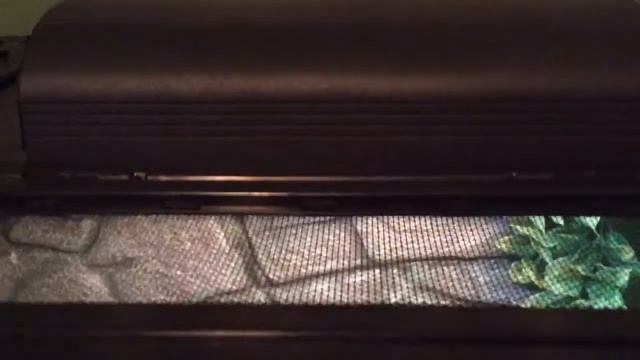 Zilla® Mini Halogen Bulb & Fixture Review смотреть онлайн