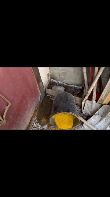 Зачем ты это сделал #youtube #shortvideo #top #shortsvideo #работа смотреть онлайн