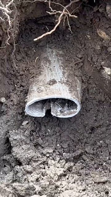 Непредвиденные расходы, такое бывает #top #shortvideo #youtube #tiktok #shortsvideo смотреть онлайн