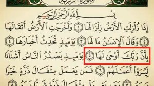 ЗАЛЗАЛА СУРАСИ шайх Алижон кори