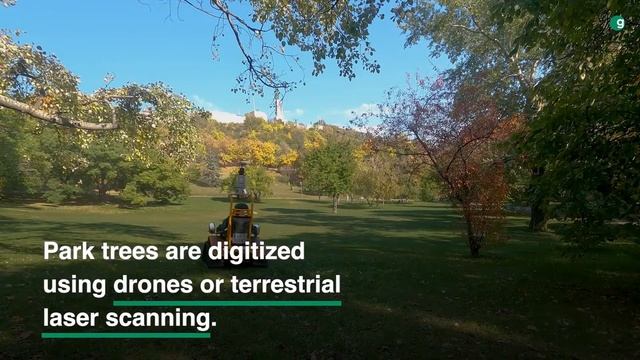 Leading Nature-Based Smart City Solutions | greehill смотреть онлайн