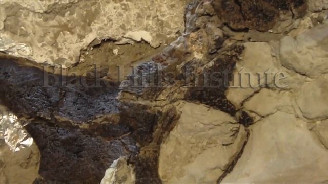 'Montana Dueling Dinosaurs' - Preparation of Chasmosaurine Skull, after Flipping смотреть онлайн