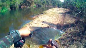 Рыбалка с рогаткой на крупную рыбу Мужское Хобби