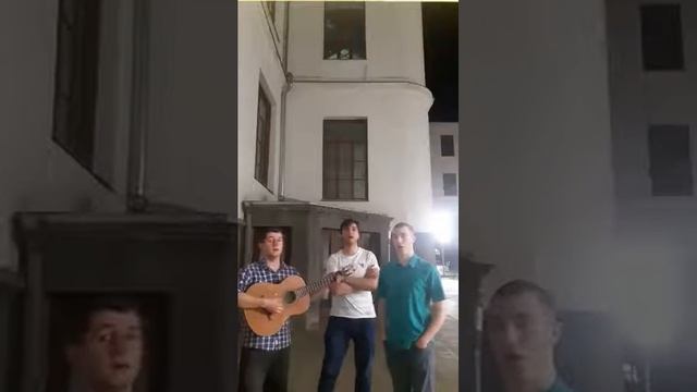 გოგოვ თაფლის თვალაო/gogov Taplis Tvalao