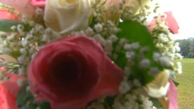 Свадебная прогулка Сергея и Полины смотреть онлайн