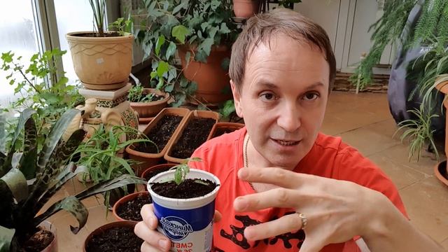 Не все советы одинаково полезны! смотреть онлайн