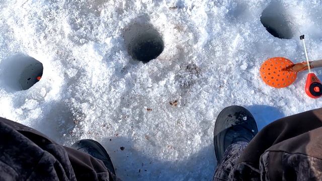 Рыбалка на поплавок 17 марта 2024 г! Голодный косяк рыб под льдом атакуют всё.... смотреть онлайн