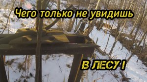 Коп металла зимой.Чего только не увидишь в лесу...