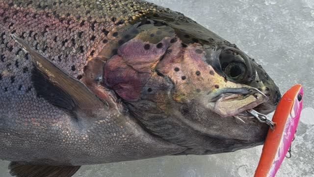 Кто с умом удит – голодняк победит! смотреть онлайн