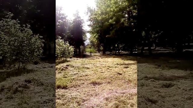 😍😍😍 энергия Природы и Любви снаружи и внутри 😍😍😍 природа для народа 😜 смотреть онлайн