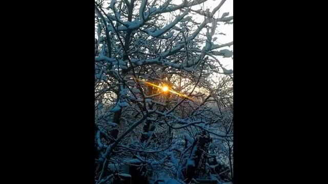 дом. мой дом.avi