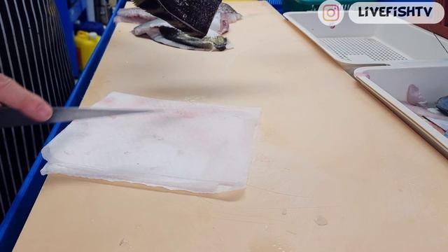 방어 참돔 강도다리 회뜨기 delicious sashimi смотреть онлайн