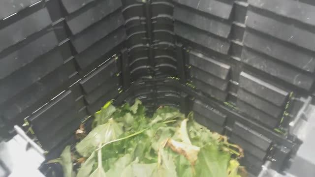 Компостер садовый Garden Dreams 880 л смотреть онлайн