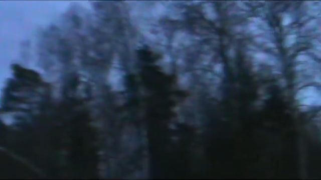 Вальдшнеп смотреть онлайн