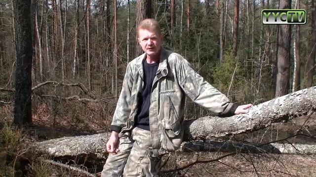 Березовый сок - тест звука
