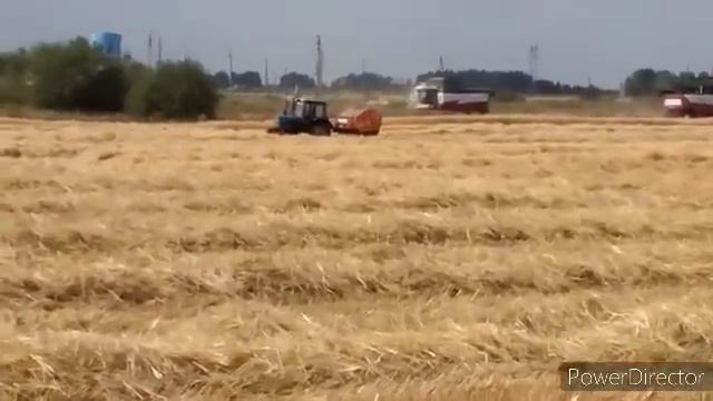 Первый хлеб 2022.