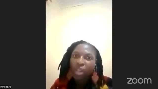 UN High-Level Political Forum On SDGs 2022 - Bright Light Projects Side-Event